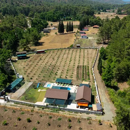 Sora No Mori Village